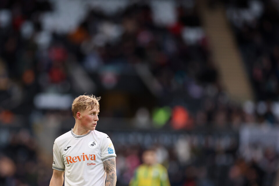 Gallery | Swansea City v WBA